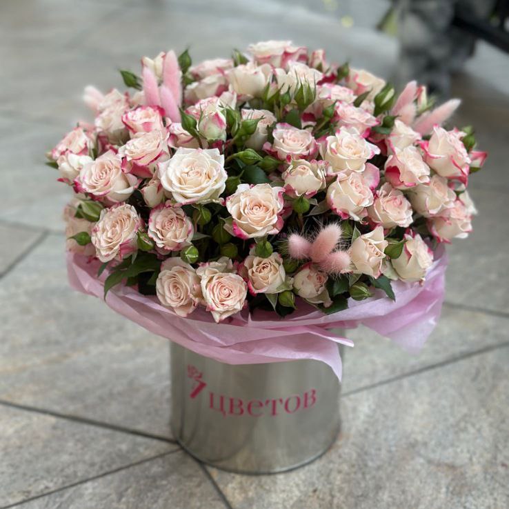 photo_2025-11-12_14-00-15