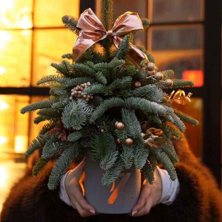 photo_2025-12-08_00-08-10