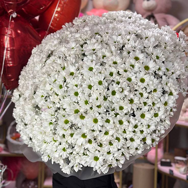 101 ромашка 1030