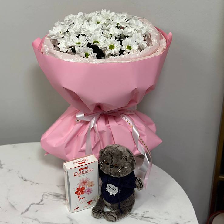 кот черный хоиза