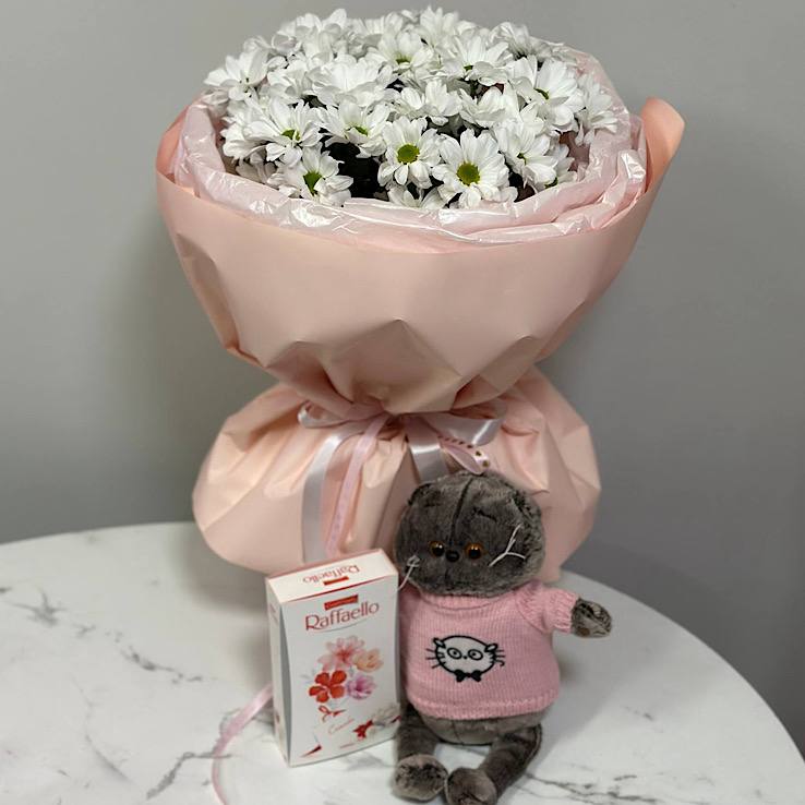 кот розовый хриза